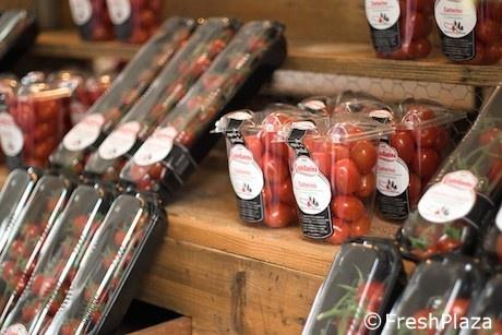 Castellanina: dall'agricoltura di precisione un pomodoro a tutto tondo